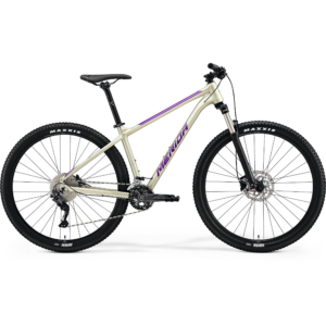 MERIDA BIG.NINE 300 2023 matná šampanská/fialová
