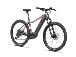 CRUSSIS e-Guera 9.10-(720 Wh) 2025 rockbike