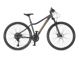 BICYKEL AUTHOR CODEX ASL 2025 ŠEDÁ/ZLATÁ rockbike.sk