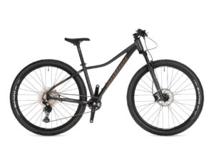 BICYKEL AUTHOR CONTEXT ASL 2025 MATNÁ ŠEDÁ/ZLATÁ rockbike.sk