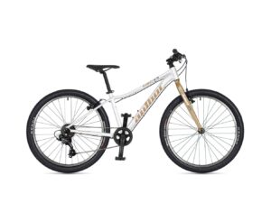 BICYKEL AUTHOR LIMIT 24 2026 12