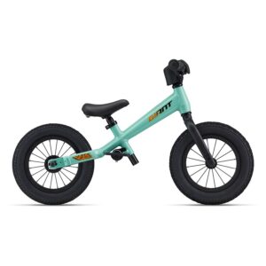 Giant Pre Ocean wave