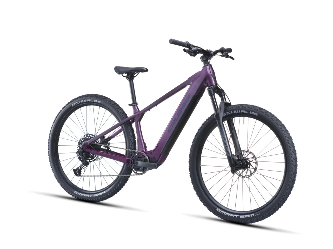 Crussis e-Fionna AX 9.12-M2 600 Wh 2027 – 2