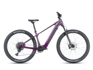 Crussis e-Fionna AX 9.12-M2S 600 Wh 2027