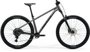Merida BIG.TRAIL 300 šedý(čierny) 2025